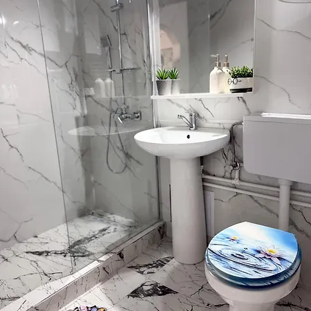 Romanescu Centru S 9 * Craiova