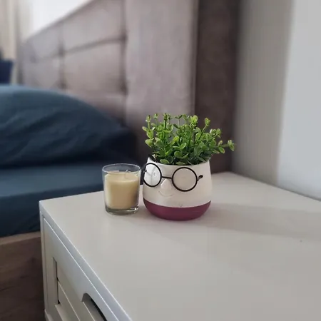 Romanescu Centru S 9 Appartement *